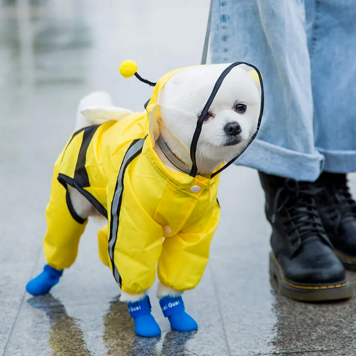 Dog Raincoats