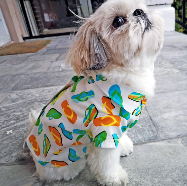 The Rise of Dog Tops in Pet Fashion: This Trend Is Here to Stay!