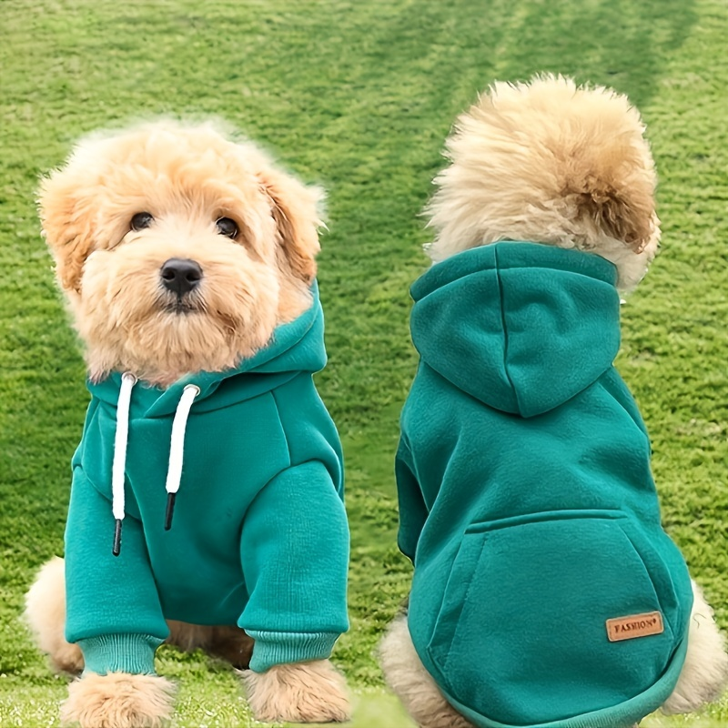 Why Dog Hoodies Are a Must-Have for Every Season: A Jojocici Perspective