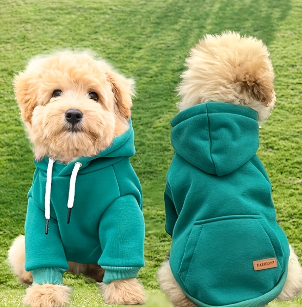 Why Dog Hoodies Are a Must-Have for Every Season: A Jojocici Perspective