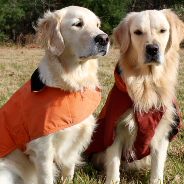 Benefits of Purchasing a High-Quality Dog Jacket