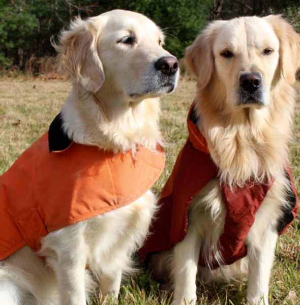 Benefits of Purchasing a High-Quality Dog Jacket