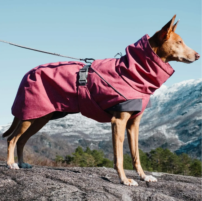 Dog Coats and Why Fabric Matters