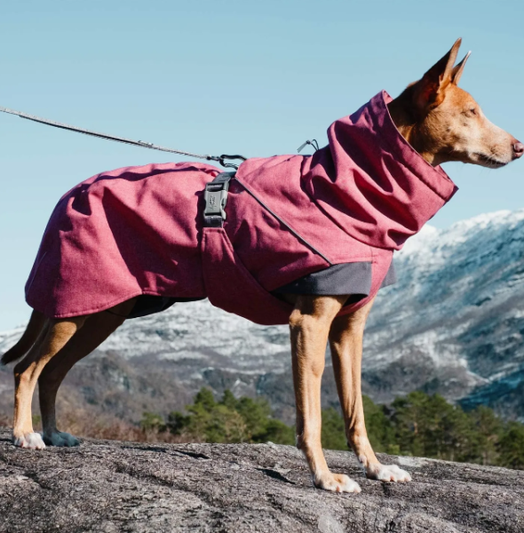 Dog Coats and Why Fabric Matters