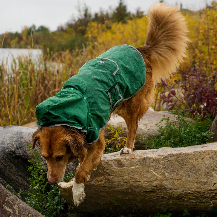 Dogs Jackets