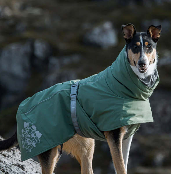 Sustainable and Eco-Friendly Dog Jacket Options
