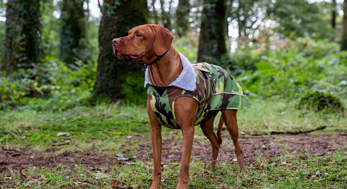 Dog Jackets