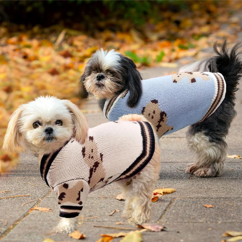 dog clothing