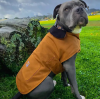 How to Seize Seasonal Pet Clothing Wholesale Opportunities: A Guide for Dog Apparel Retailers