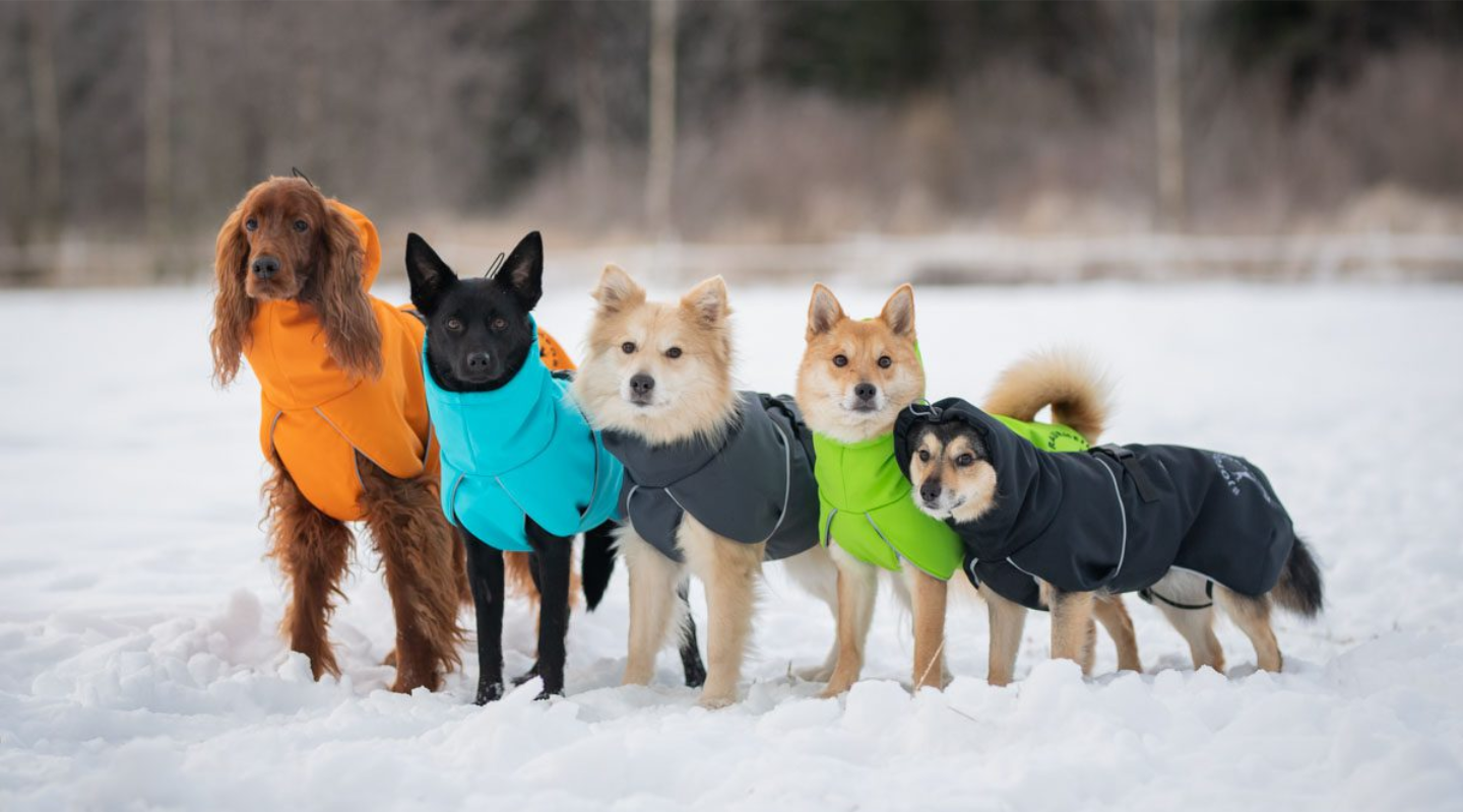 dog apparel manufacurer