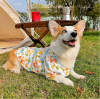 Is dog clothes a good business?