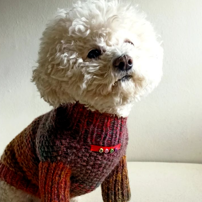 Small Dog Clothing