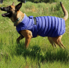 Down Jackets for Different Dog Breeds: Which One is Best for Your Furry Friend?