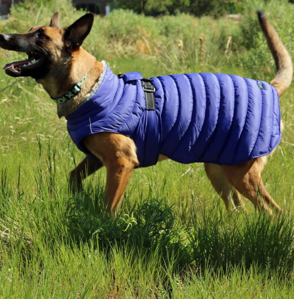 Down Jackets for Different Dog Breeds: Which One is Best for Your Furry Friend?