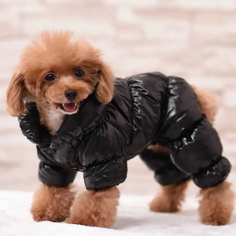  dog down jackets vs. hoodies