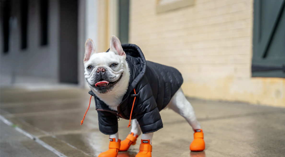 Dog's Down Jacket