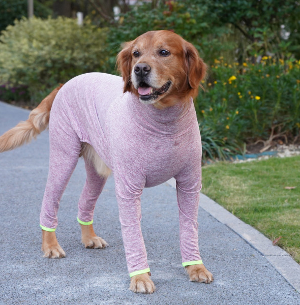 Top 5 Breathable and Comfortable Dog Pajamas | Jojocici