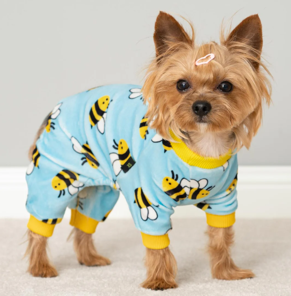 How to Get Bulk Orders from the Most Trustworthy Dog Pajamas Manufacturers | Jojocici