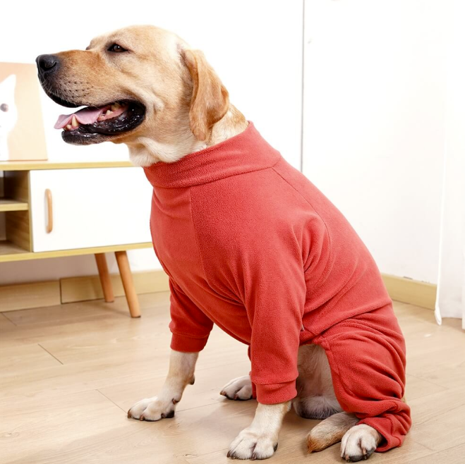 Dog Pajamas