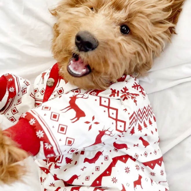 Dog Pajamas