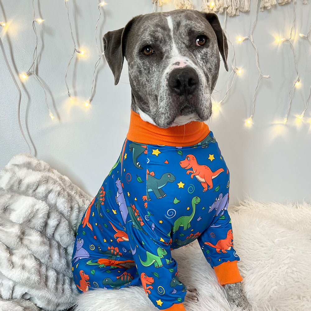 dog pajamas