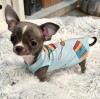Best Pajamas for Small Dogs: Comfortable and Stylish