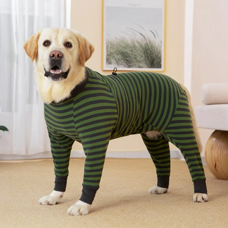 Dog Pajama
