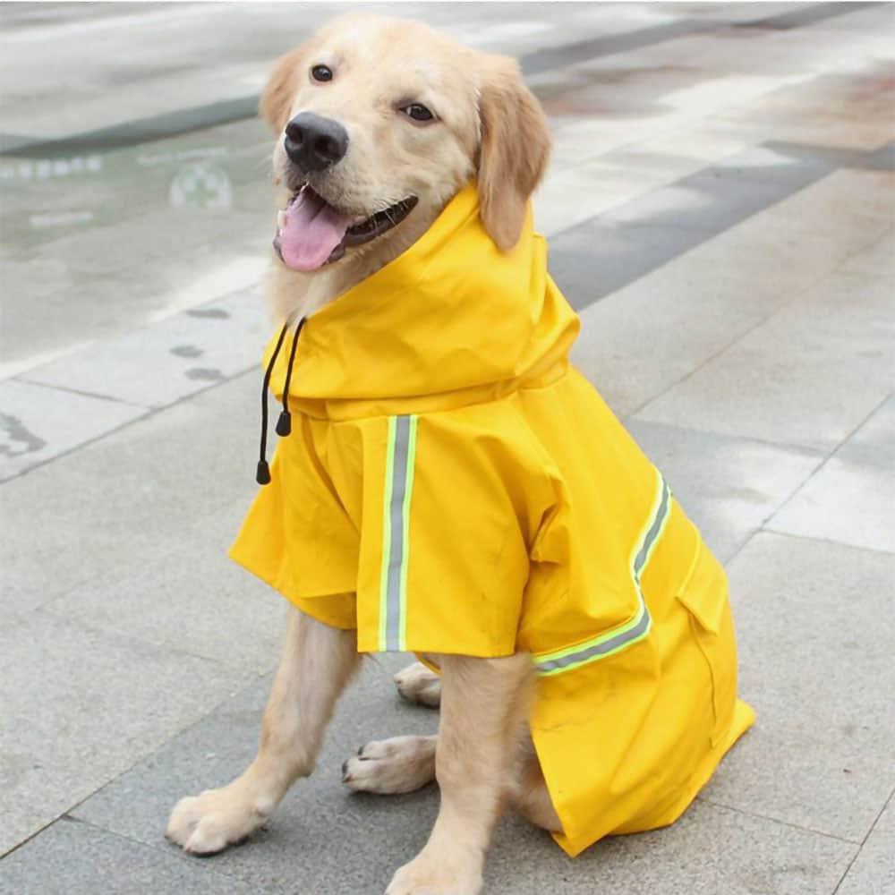 Why a Reflective Dog Raincoat is a Must-Have for Night Walks | Jojocici