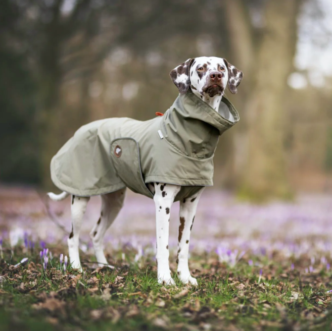How to Partner with the Right Manufacturer to Launch a Successful Dog Raincoat Line