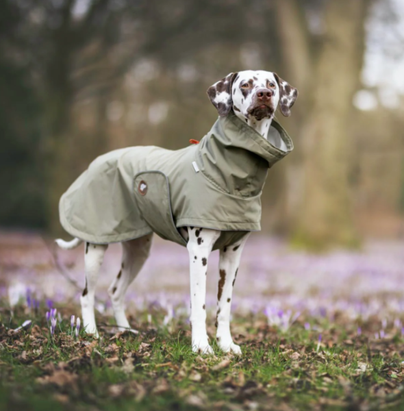 How to Partner with the Right Manufacturer to Launch a Successful Dog Raincoat Line