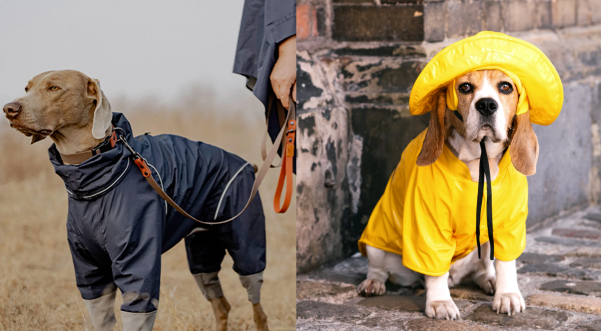 Dog Raincoat Manufacturing