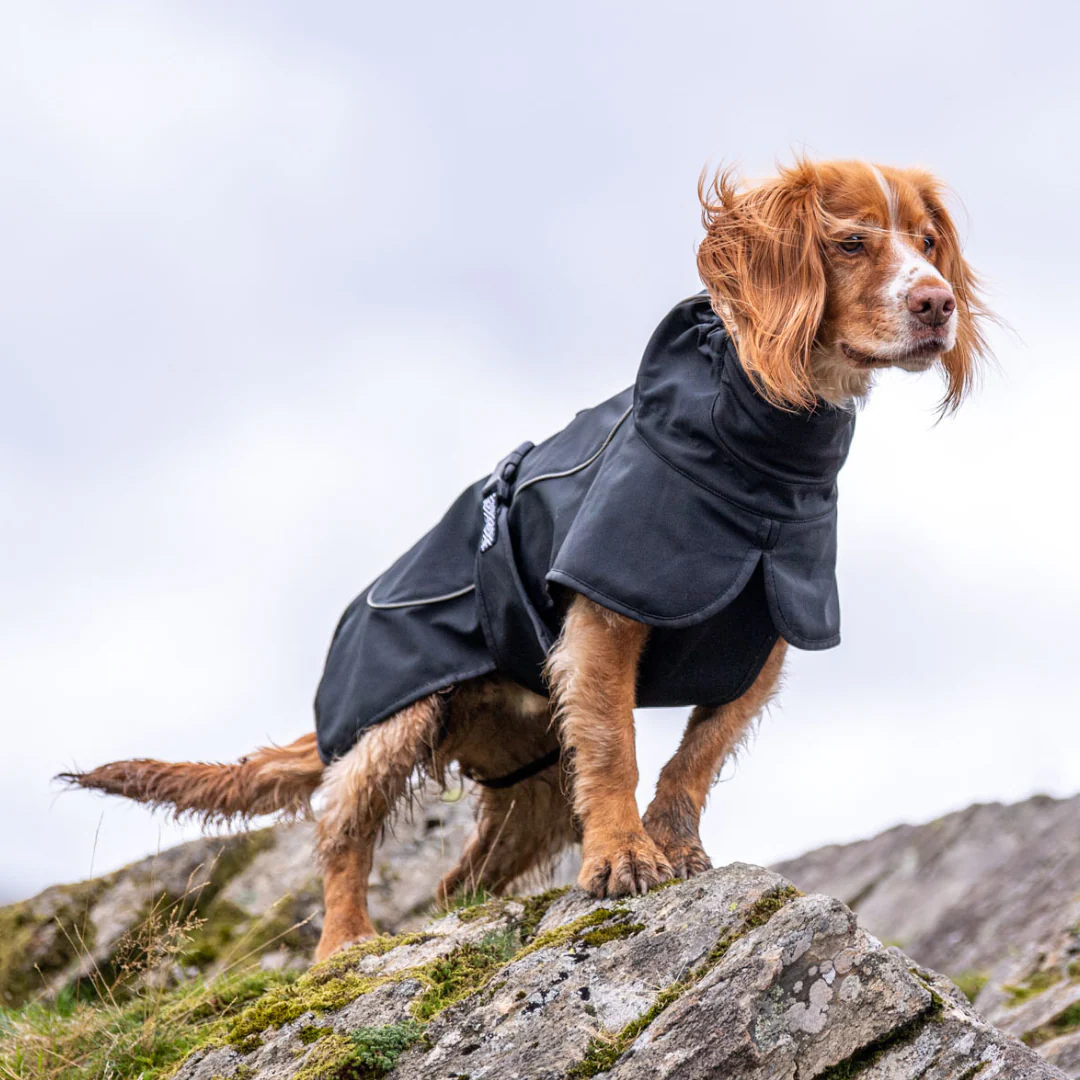 The Ultimate Checklist for Buying Wholesale Dog Clothing: Jojocici's Comprehensive Guide