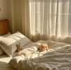 🌍 How is the home textile industry evolving in 2025?
