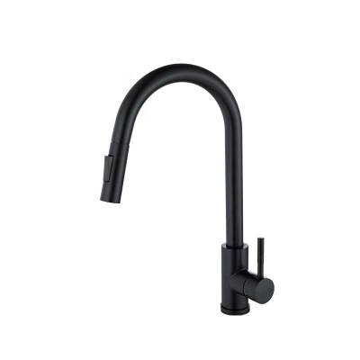 kitchen faucet stainless steel 304 water tap modern kitchen taps pull out sprayer kitchen mixer