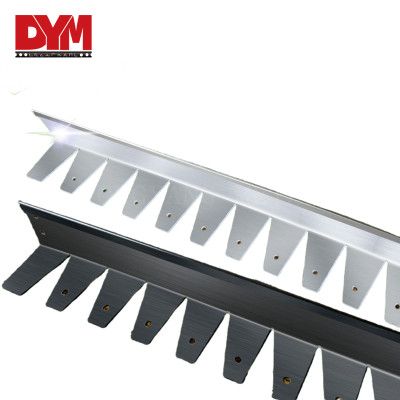 Customized Stainless Steel Garden Landscape Edging