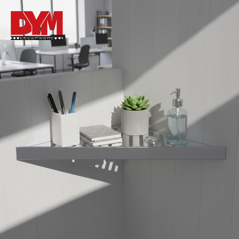 Stainless Steel Shower Shelf