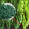 Fieldsmaster Turf Infill Granules | excellent ball roll and bounce | outstanding damping properties|  | Wholesale Supply