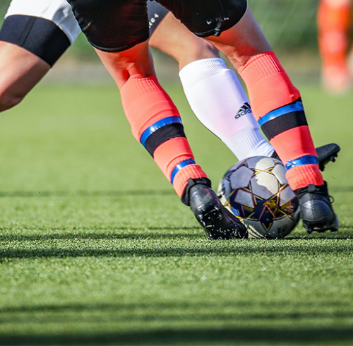 FM-I PRO: Custom EPDM Granules for Turf Infill Series | High performance sports turf