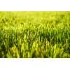 Top-Quality Artificial Turf: OEM, ODM, Brand Agency Options Available for Global Landscape Construction