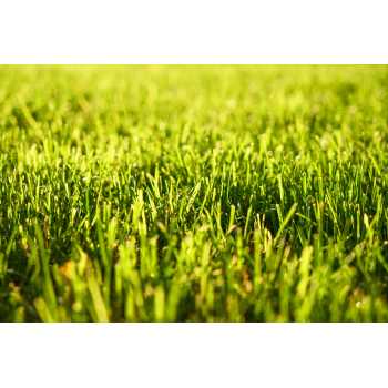 Top-Quality Artificial Turf: OEM, ODM, Brand Agency Options Available for Global Landscape Construction