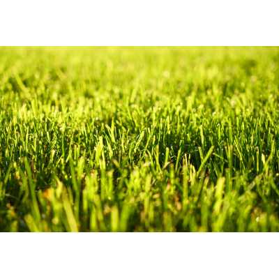 Top-Quality Artificial Turf: OEM, ODM, Brand Agency Options Available for Global Landscape Construction