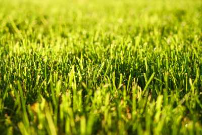 Top-Quality Artificial Turf: OEM, ODM, Brand Agency Options Available for Global Landscape Construction