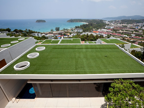 Premium OEM Recreation Artificial Turf Supplier for Global Sports Venue Projects