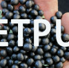 Introduction to ETPU Granules: A New Option for Playground Sub-Base Systems