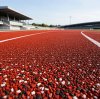 EPDM Track Granules Standards: Professional Sports Performance Requirements