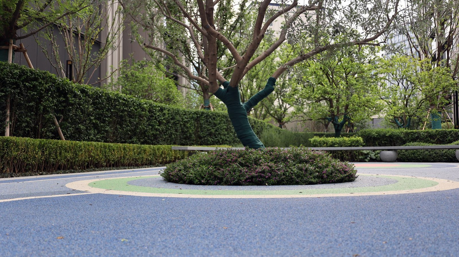 Blue EPDM path around planting in a residential community