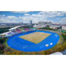 FieldsMaster: A Committed Advocate of the Belt and Road Initiative