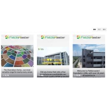 FieldsMaster Officially Launches TikTok Social Media Brand Operation!