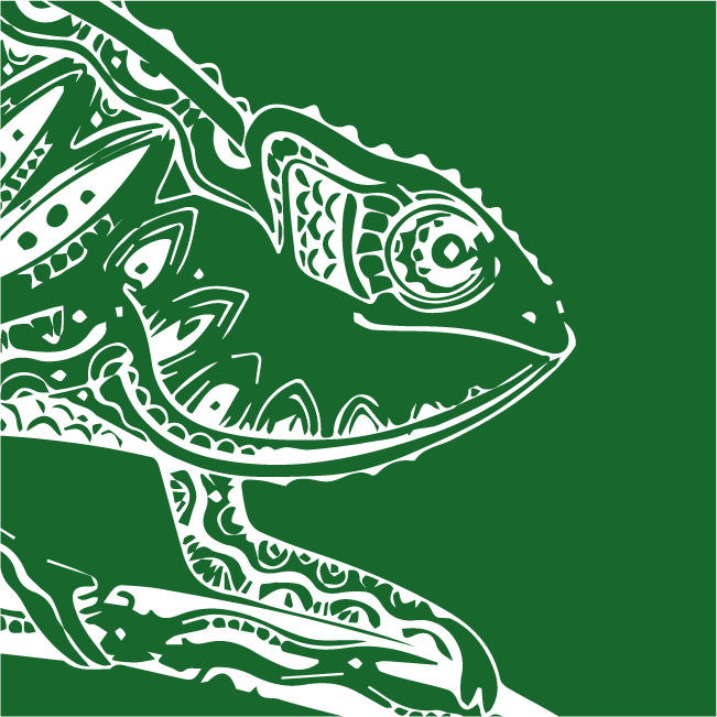 Chameleon Series