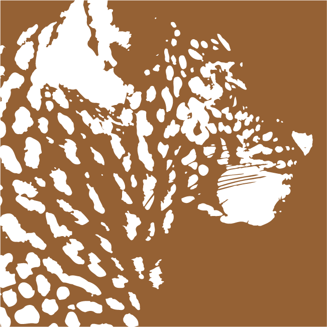 Jaguar Series
